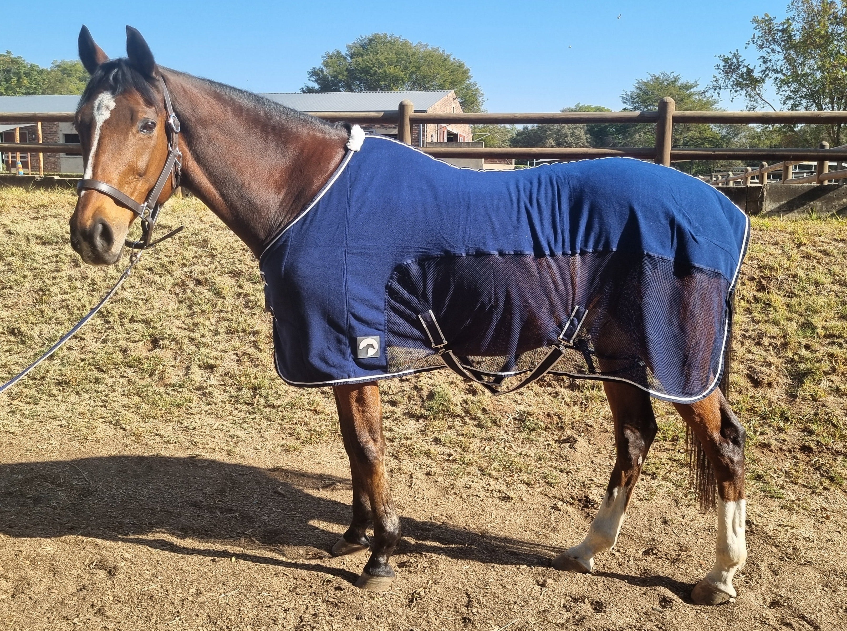 Rug Mesh + Fleece Solo